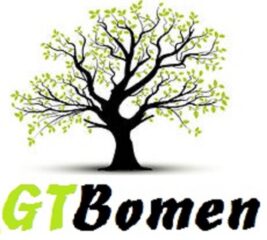 GT Bomen