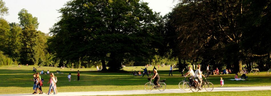 Hoe bomen zorgen voor verkoeling op warme dagen